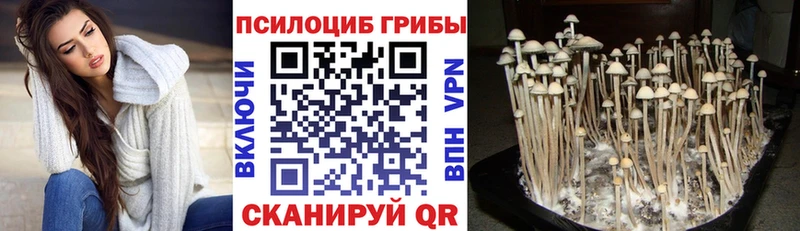 Галлюциногенные грибы GOLDEN TEACHER  Саров 