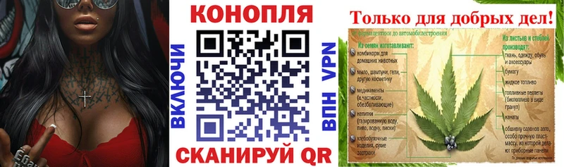 Конопля White Widow  KRAKEN маркетплейс  даркнет телеграм  Саров 